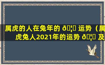 属虎的人在兔年的 🦄 运势（属虎兔人2021年的运势 🦁 及运程）